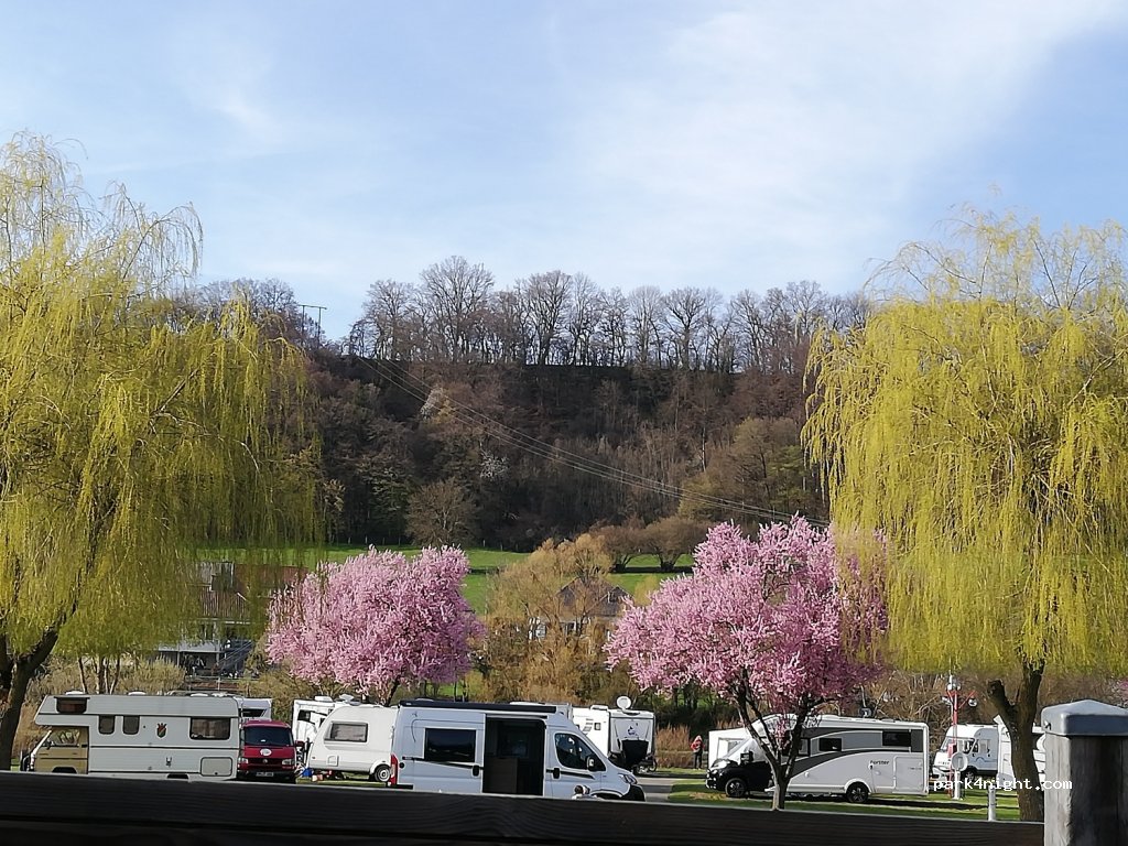 camping de la sure — foto