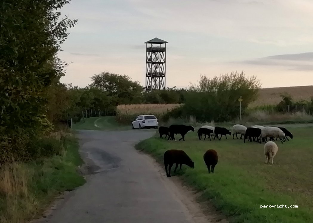 (687 37) Polešovice - Unnamed Road — foto 3