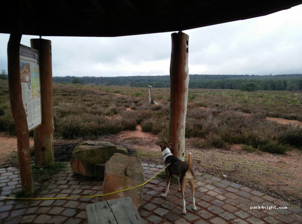 (67678) Mehlingen - 17 An der Heide — foto 2