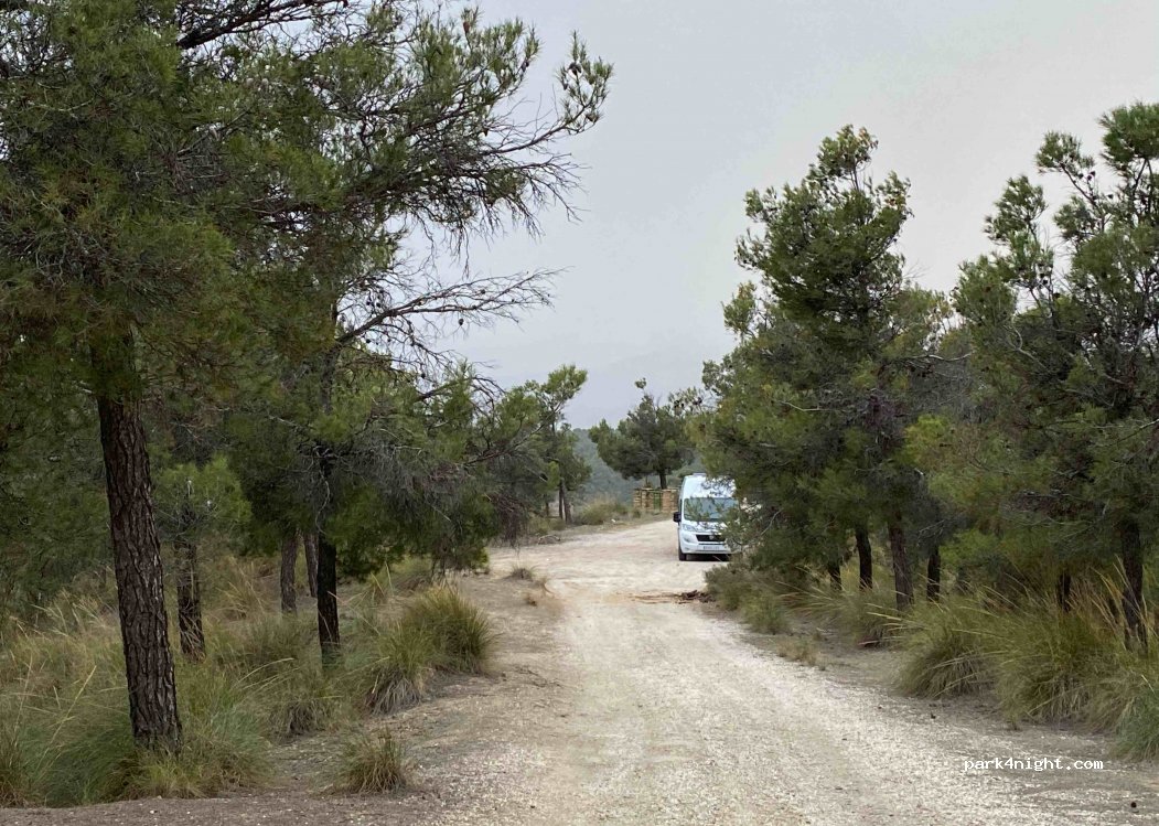 (18517) Cortes y Graena - Carretera de Acceso a La Peza y Lopera — foto 3