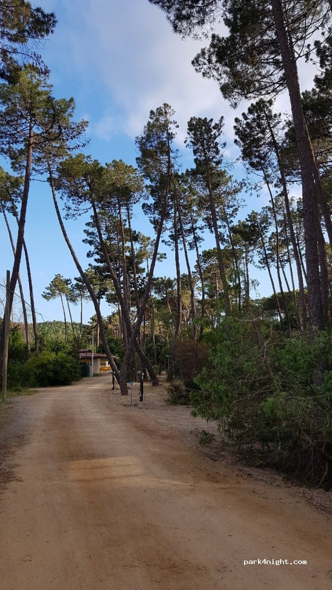 PuntAla Camp & Resort — foto 2