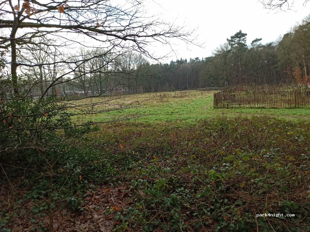 (3712 DB) Huis Ter Heide - 16 Willem Versteeghstraat — foto 3