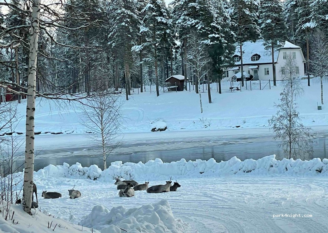 (836 93)  - 220 HÖGFORS — foto
