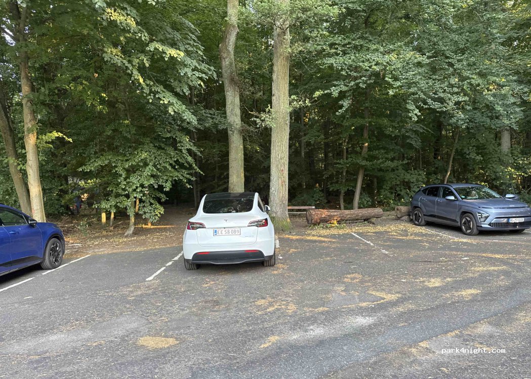 (61350) Bad Homburg vor der Höhe - 68 Friedberger Straße — foto 3