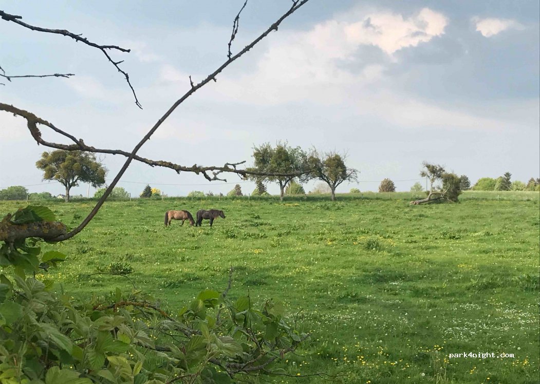 Monti's Camping — foto 2