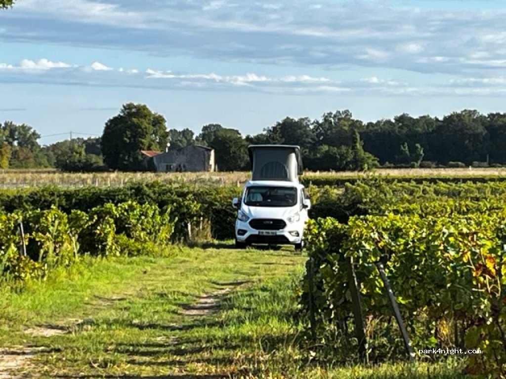 Domaine de  La Gauche — foto 3
