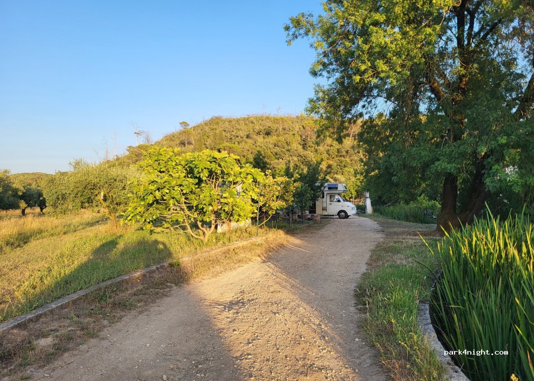 Passeite Olive Farm — foto 5