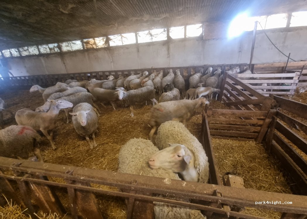 GAEC - Ferme de la Raïole — foto 3