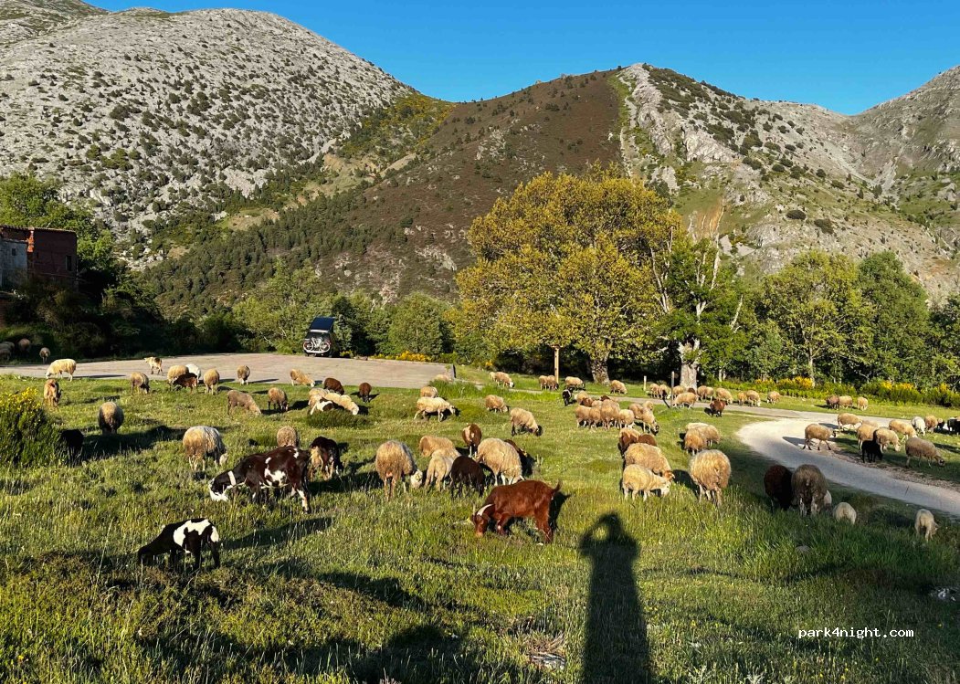 (34886) Velilla del Río Carrión - Avenida Areños — foto 4