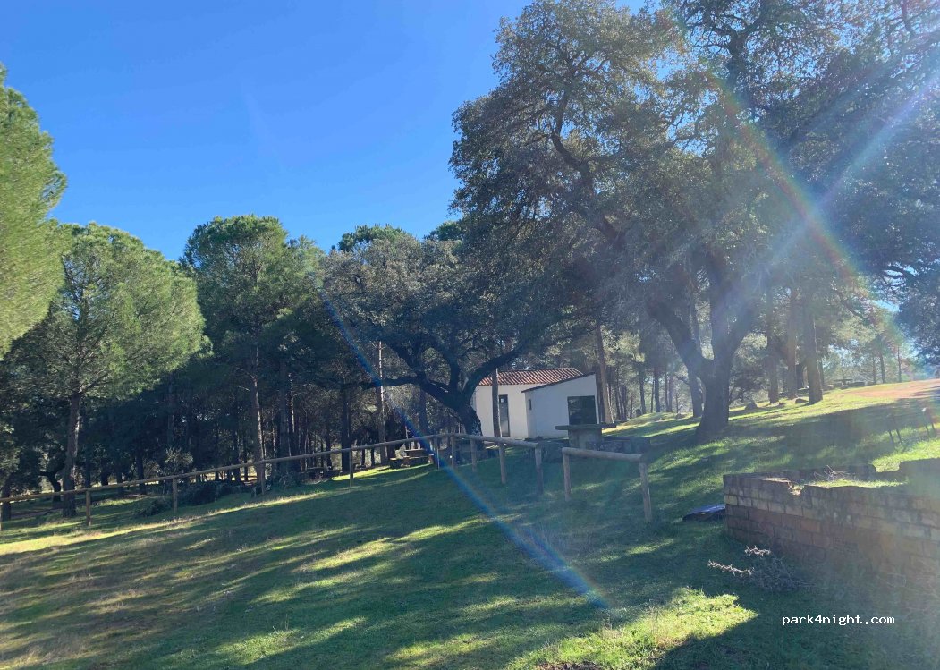 (41380) Alanís - Carril de Las Navas — foto 2