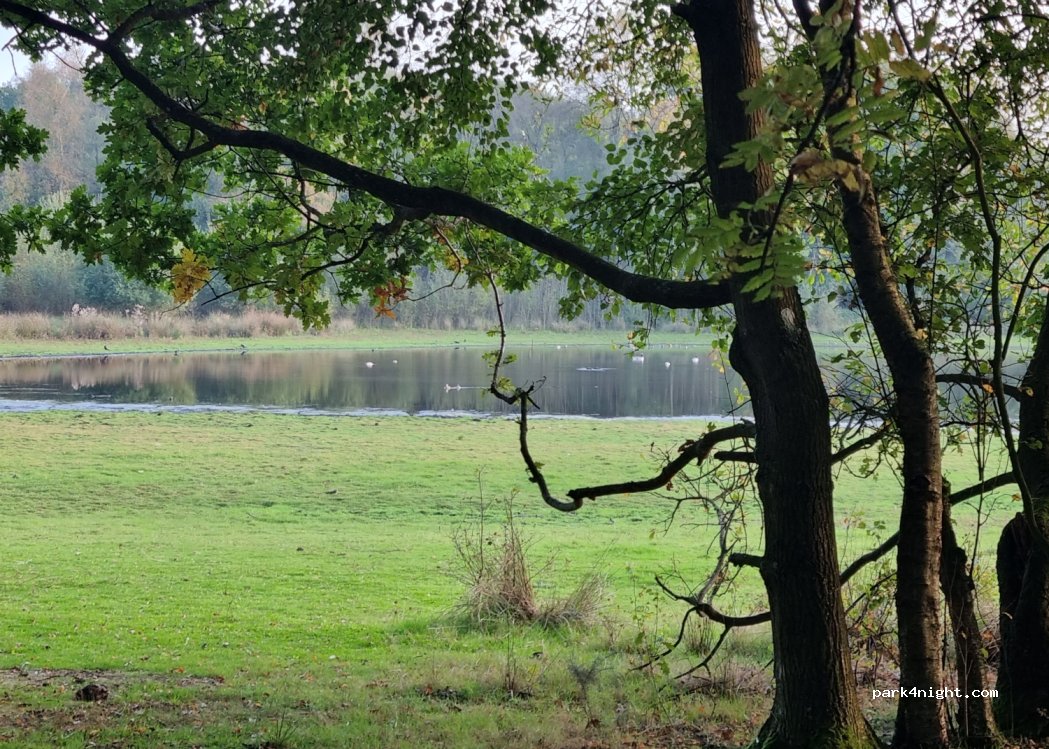 (SY13 4BX)  - Brown Moss — foto 3