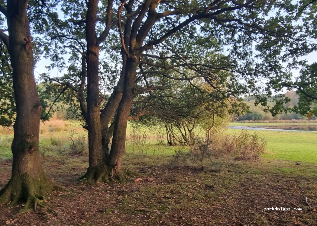 (SY13 4BX)  - Brown Moss — foto 4
