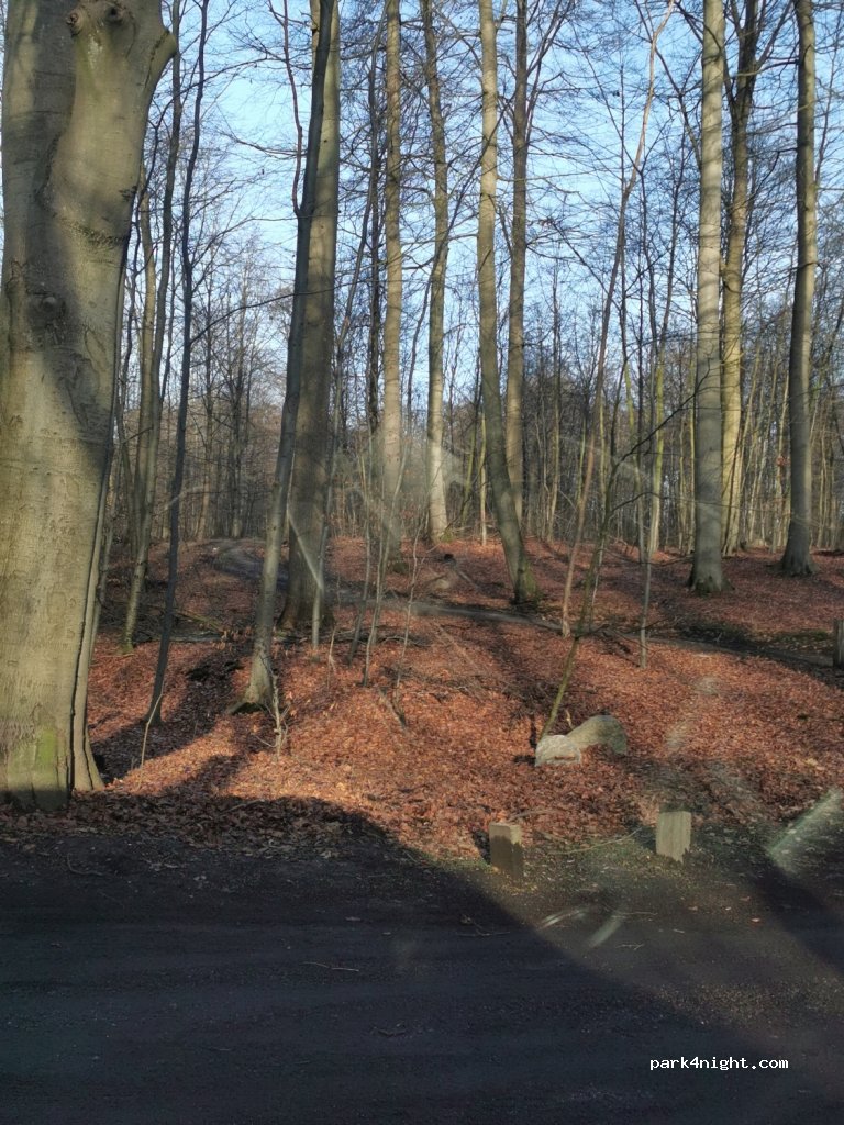 (23744) Schönwalde am Bungsberg - L178 — foto