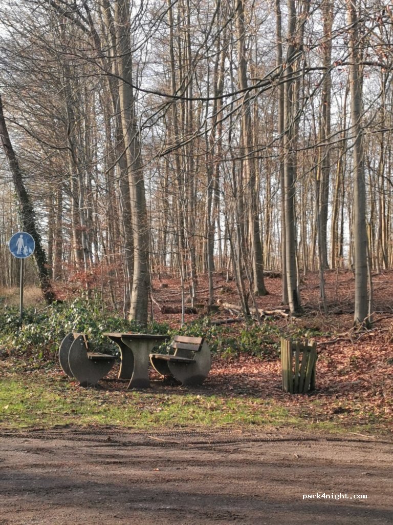 (23744) Schönwalde am Bungsberg - L178 — foto 2