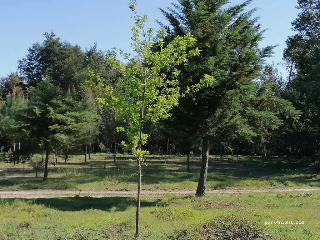 (3200)  - Unnamed Road — foto 3