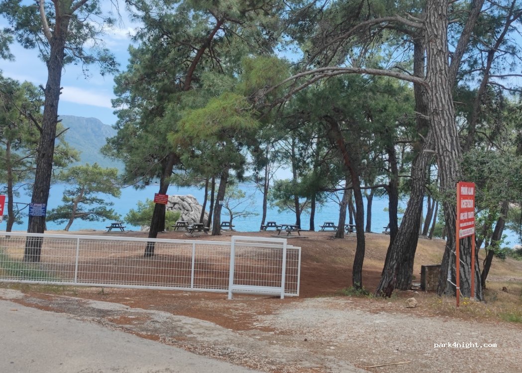 (07390) Antalya - Unnamed Road — foto 3