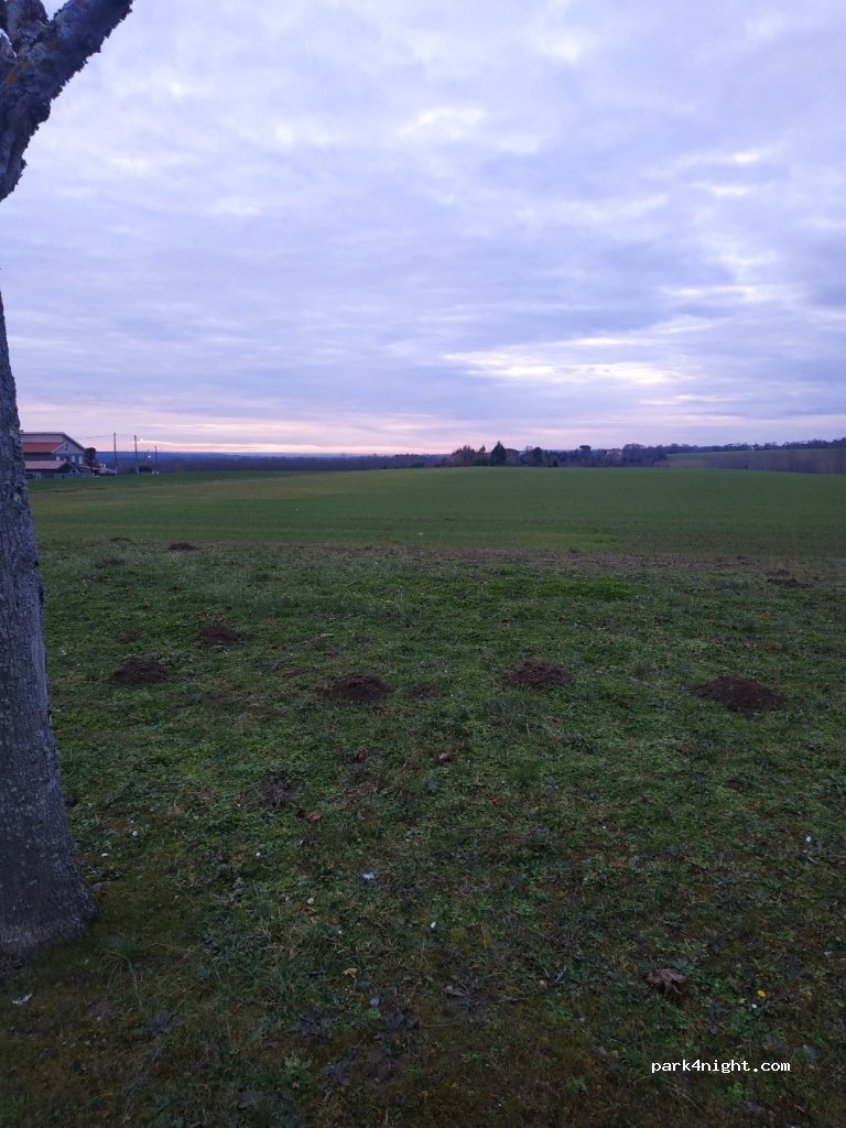 (31380) Bazus - 415 Route de Villaries — foto 3