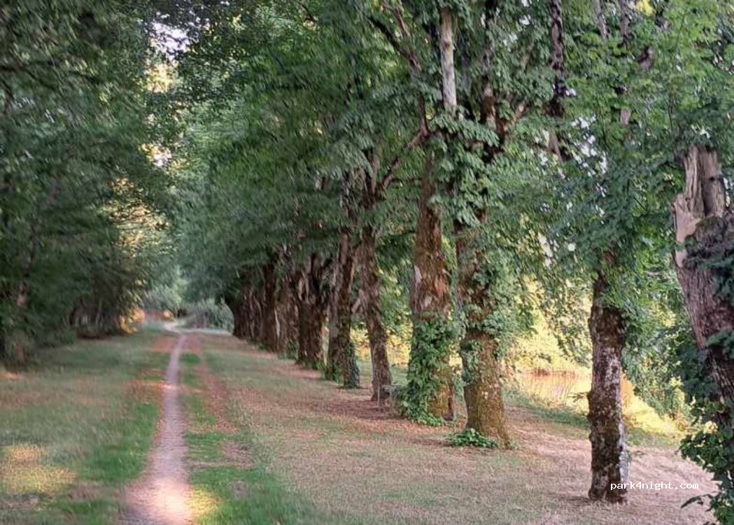 (85530) La Bruffière - Unnamed Road — foto 3