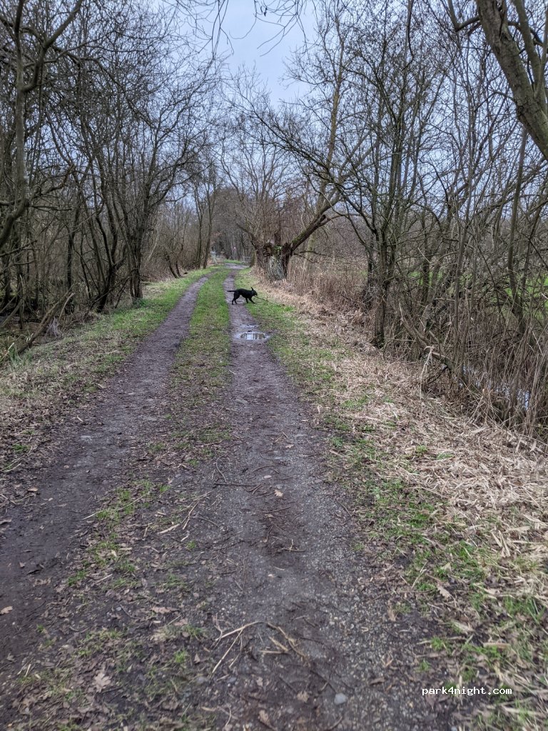 (NR34 7QR)  - Marsh Lane — foto