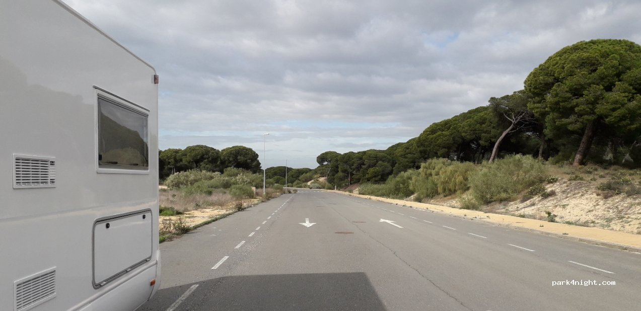 (21800) Moguer - 32 Solar Suelo Sup Mazagon — foto