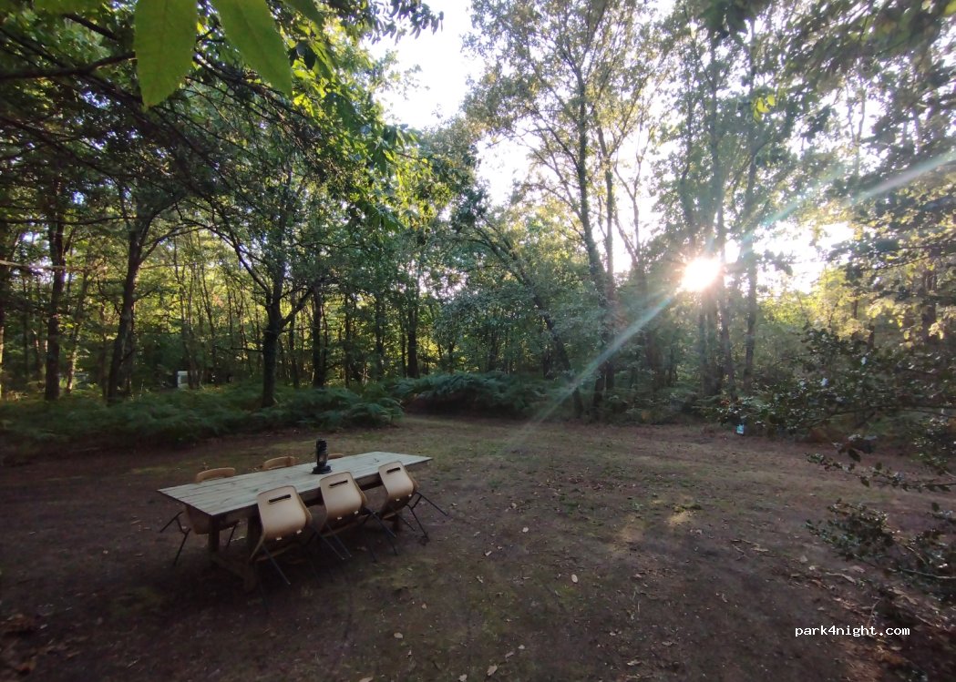 Domaine de la Maussonnière — foto 2