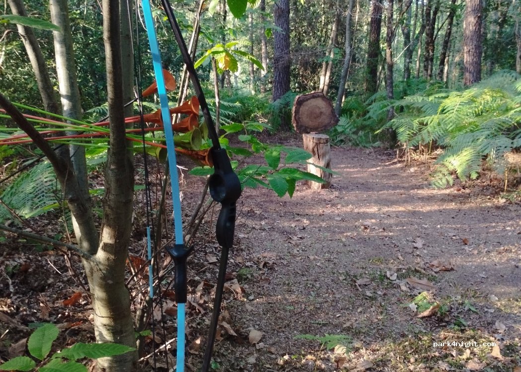 Domaine de la Maussonnière — foto 3