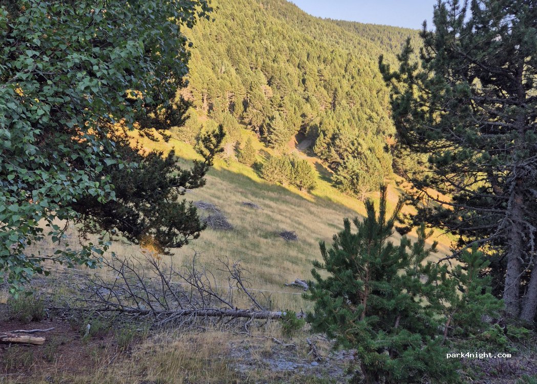 (AD400) La Massana - Coll de Gomà — foto 4