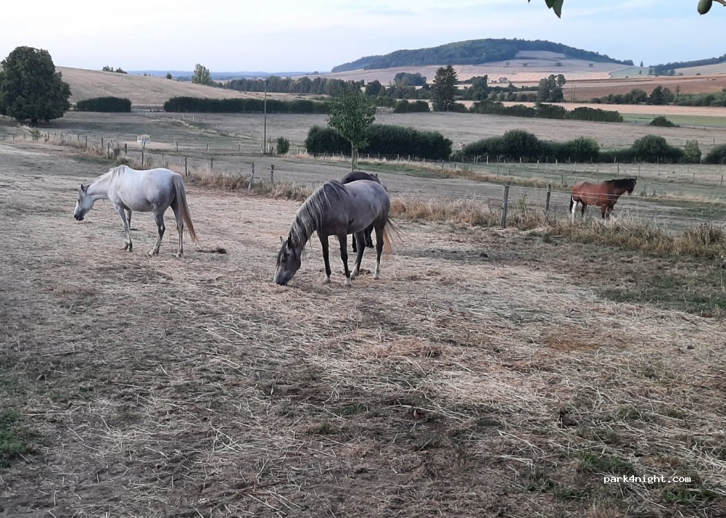 La Ferme du Vallon — foto 3