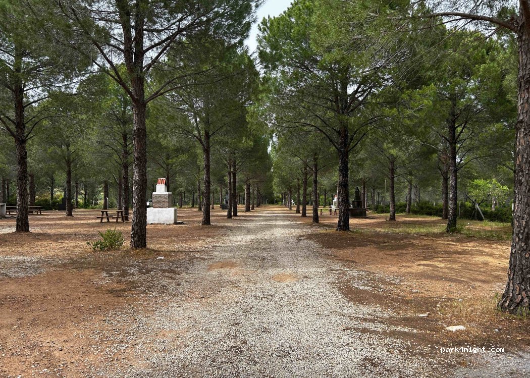 (48900)  - Unnamed Road — foto 4
