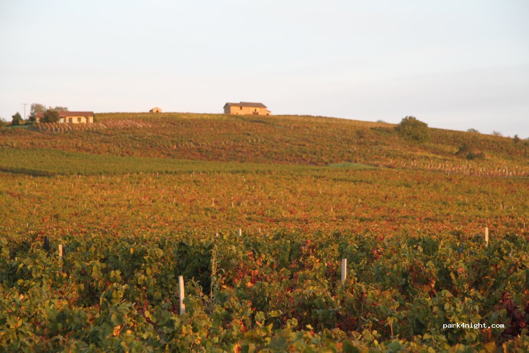 Domaine Matray Juliénas — foto 4