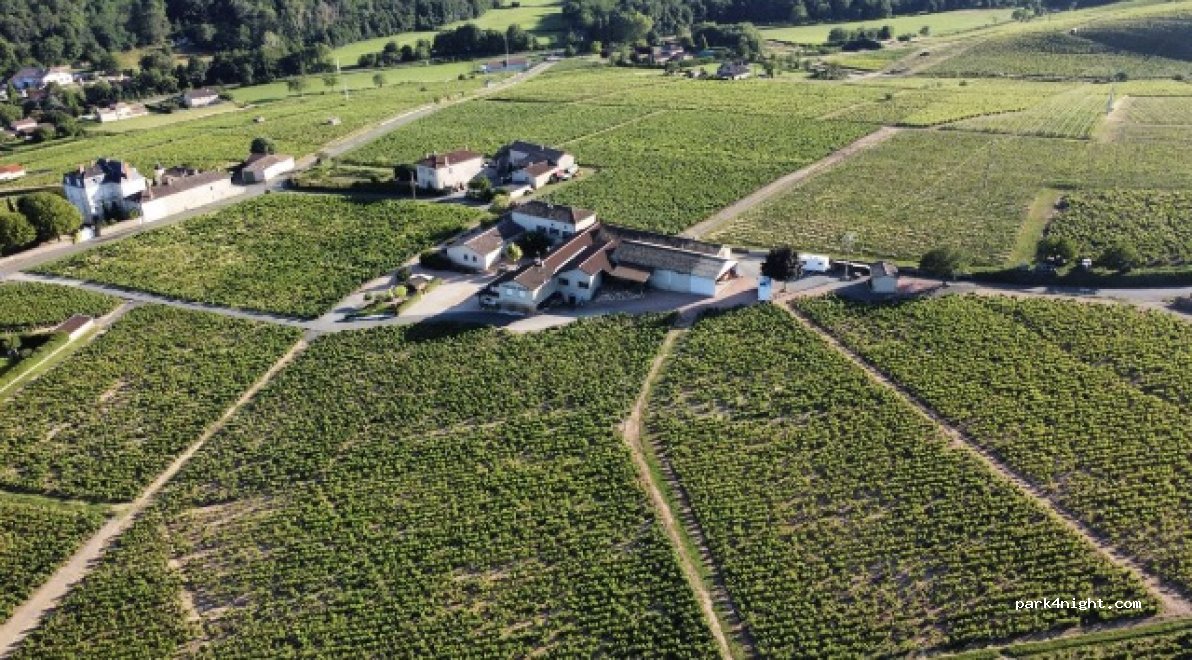 Domaine Matray Juliénas — foto 5