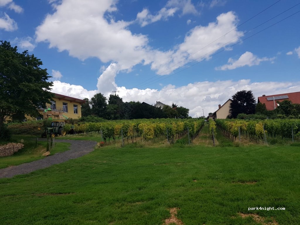 Weingut & Gästehaus Benß — foto