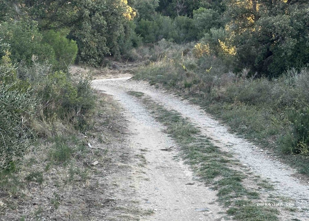 (17708) Cantallops - 29 Camí Vell de Requesens — foto 5