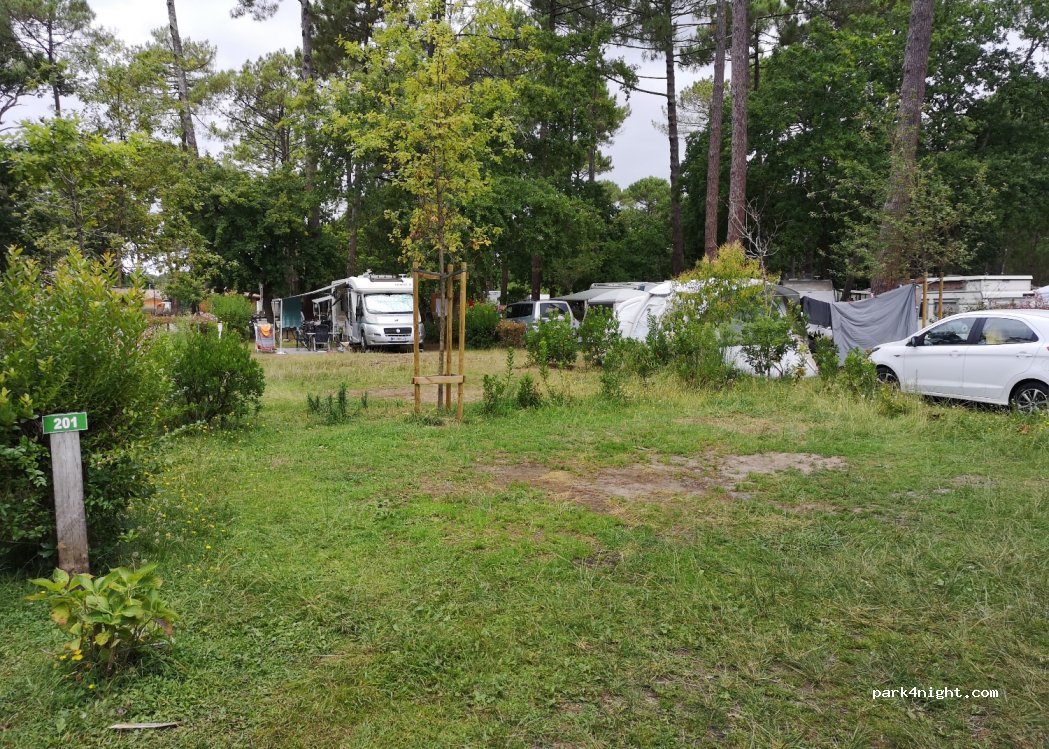Camping municipal — foto