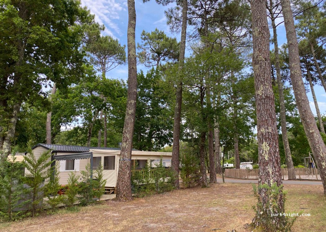 Camping municipal — foto 2