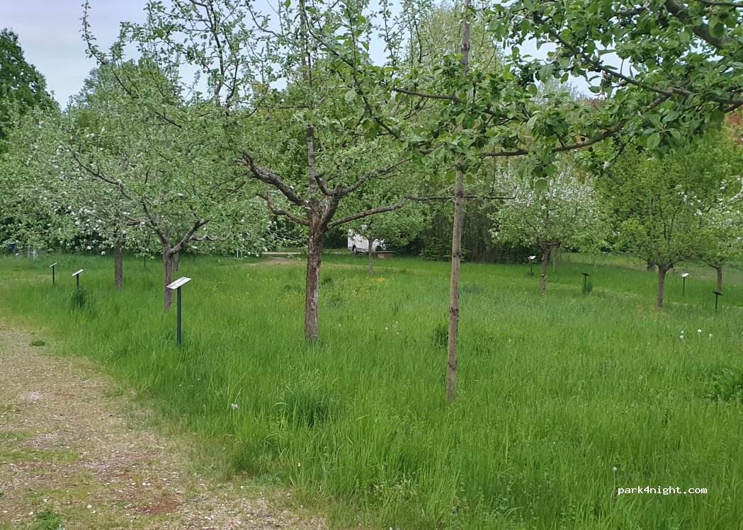 (89343) Jettingen-Scheppach - Allerheiligenstraße — foto 5