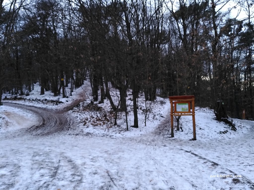 (67434) Neustadt an der Weinstraße - 22 Am Nollen — foto 2