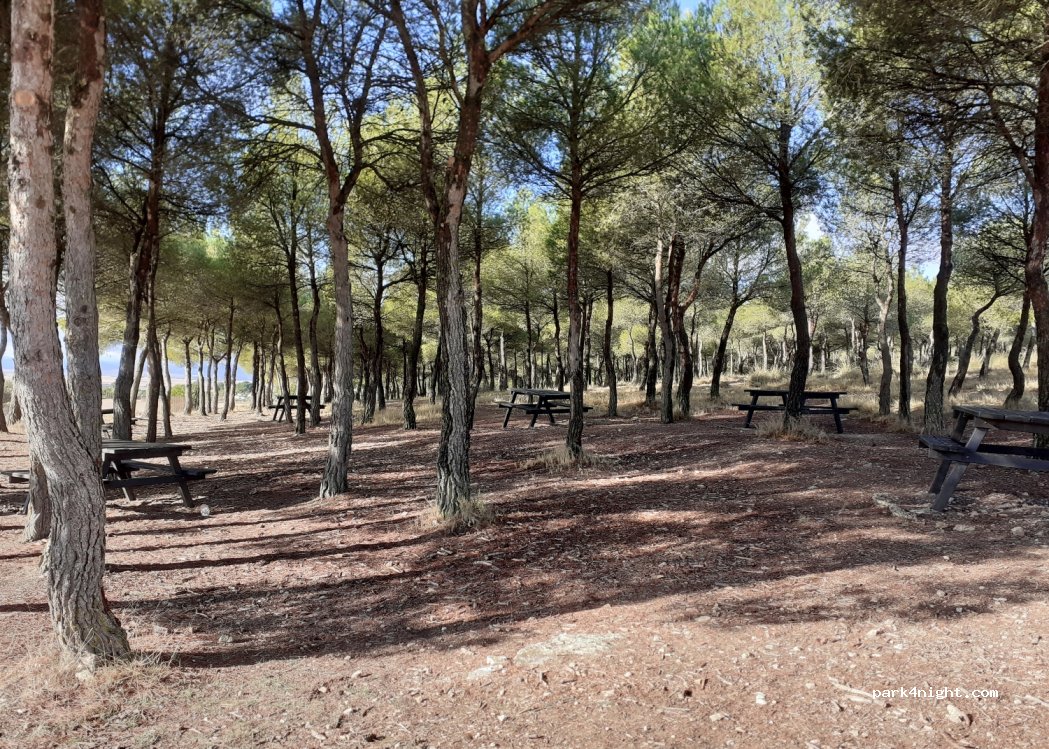 (02520) Chinchilla de Monte-Aragón - Camino de Santa Fé — foto 2