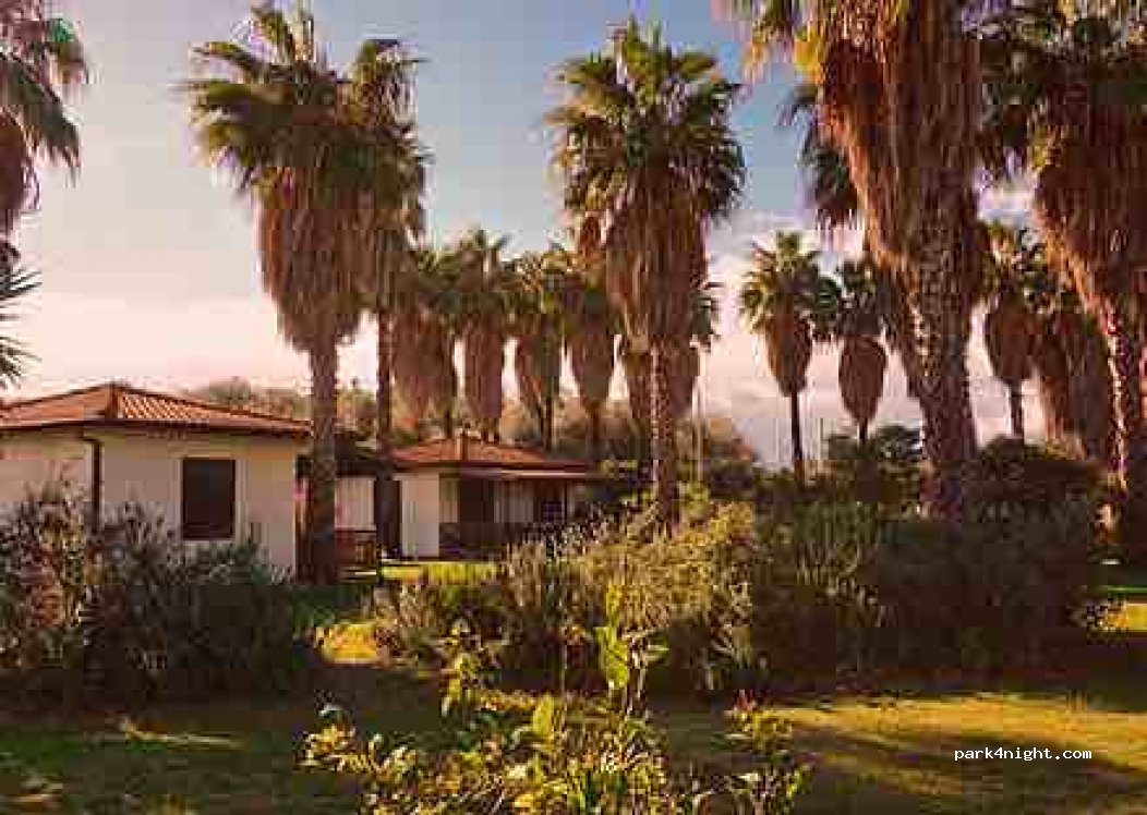 New Ranch Club — foto 2