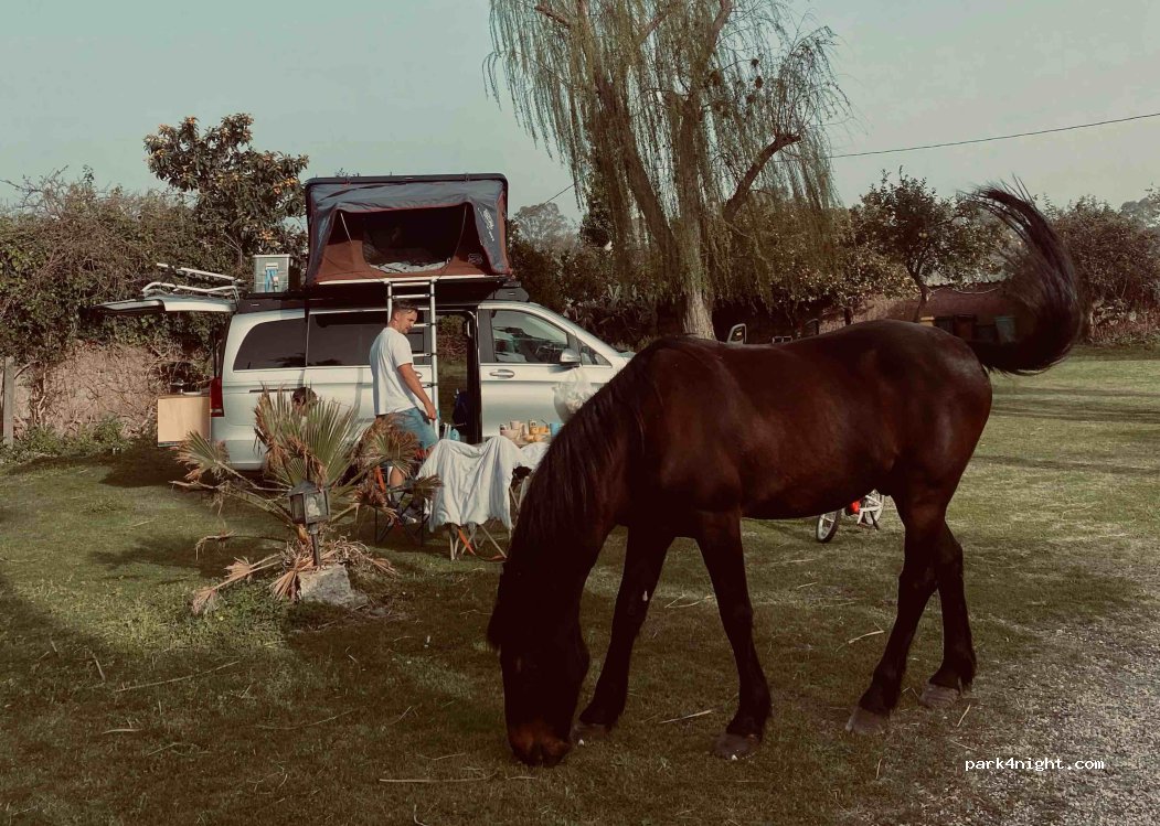 New Ranch Club — foto 4
