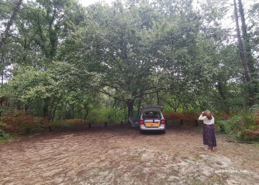 (40260) Lesperon - Unnamed Road — foto 3