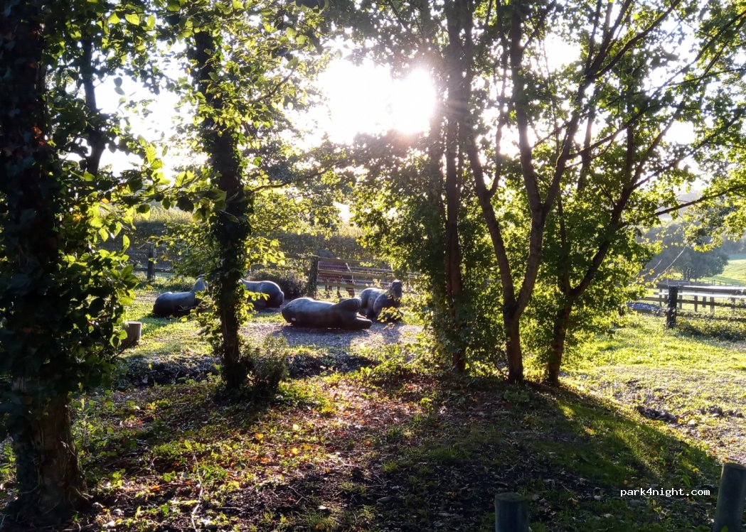 (61310) Le Pin-au-Haras - Le Haras du Pin — foto 3