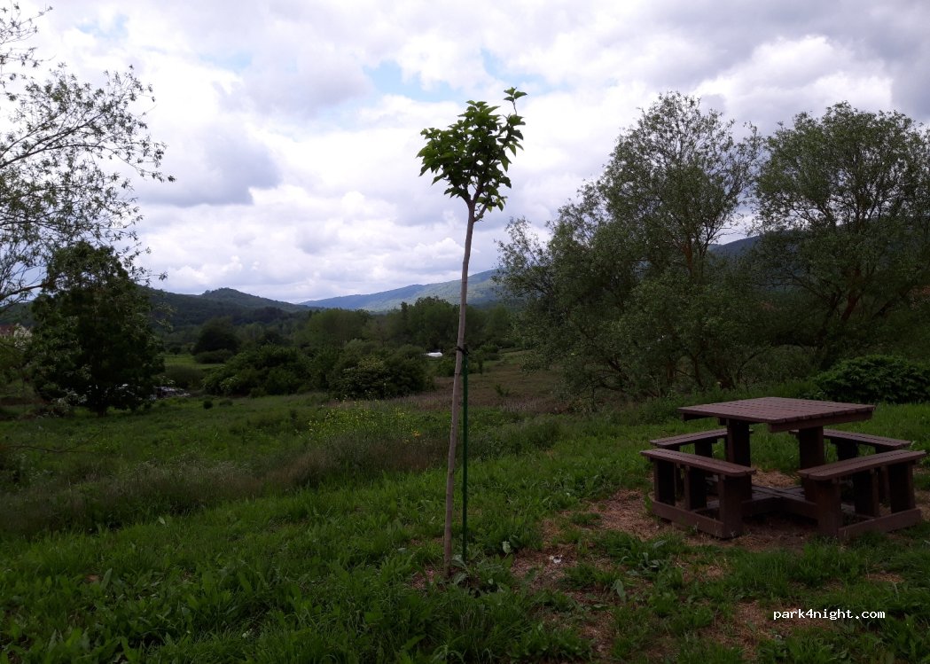(31820) Etxarri-Aranatz - 5 Ikastola Kalea — foto 4
