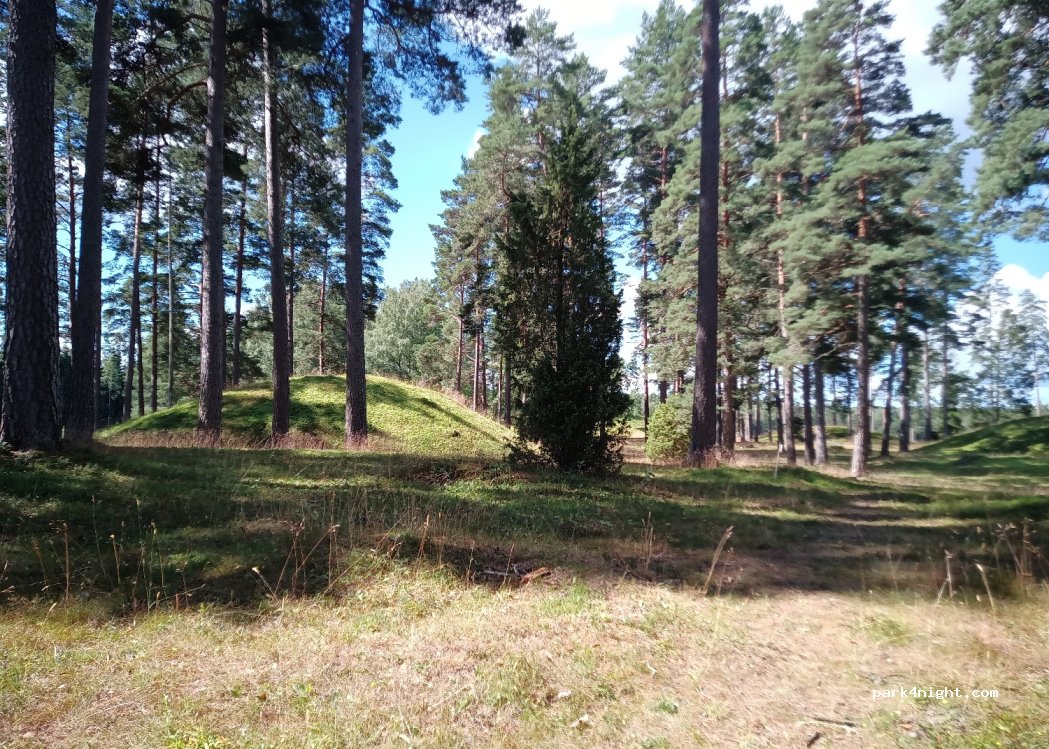 (360 42)  - Unnamed Road — foto 2