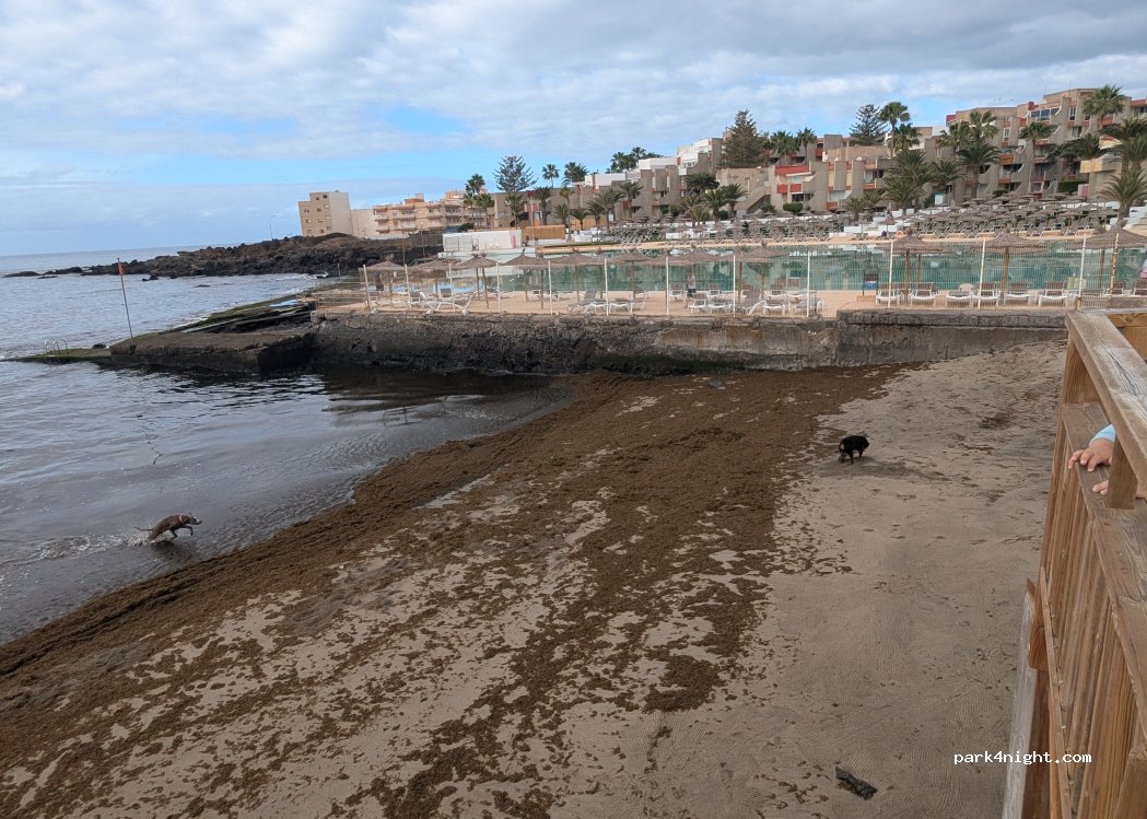 (38630) Arona - 8 Plaza Jhon Huygen — foto 3