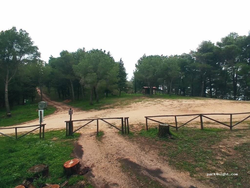 (91010) Vita - Bosco Baronia — foto
