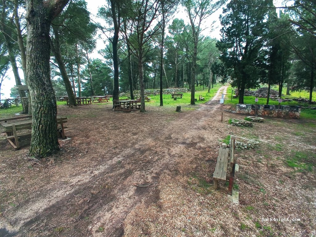 (91010) Vita - Bosco Baronia — foto 2