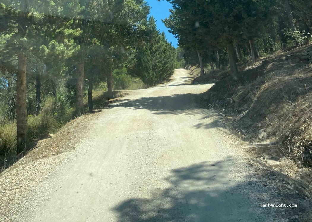 (91010) Vita - Bosco Baronia — foto 3