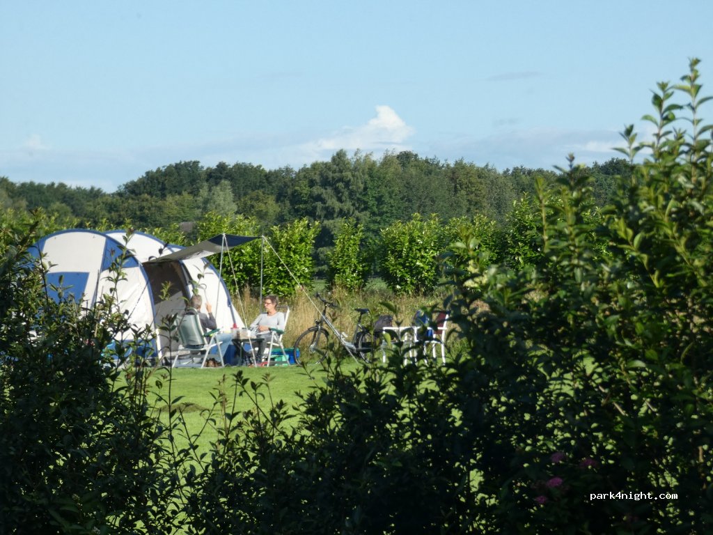 Camping Koops Koeienpad — foto