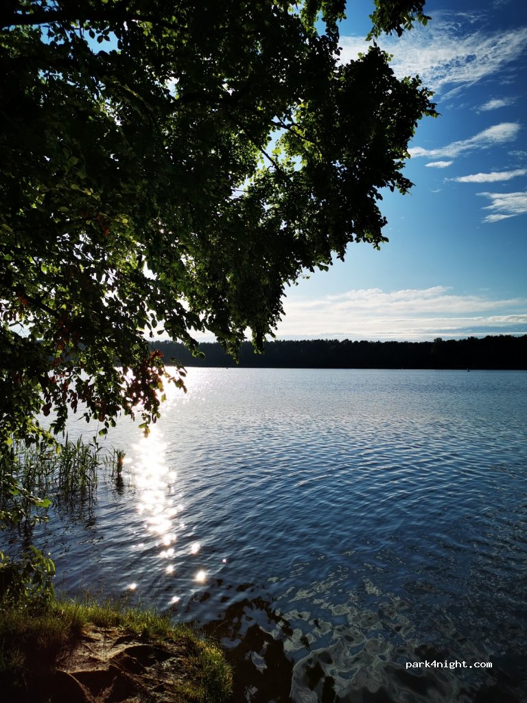 (15537) Königs Wusterhausen - 23 Birkenweg — foto 3